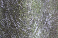 Hestaford fibreglass roof work